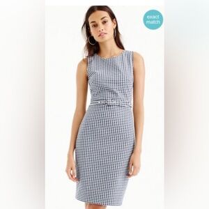 J.Crew Gingham Dress